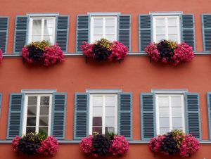 ventanas mallorquinas verdes